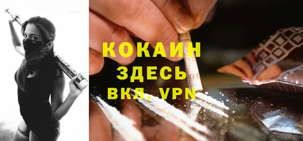 гидра Майский