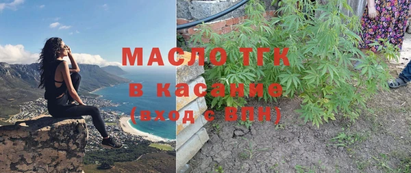гидра Майский