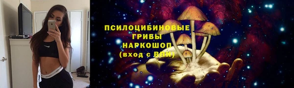 гидропоника Медвежьегорск