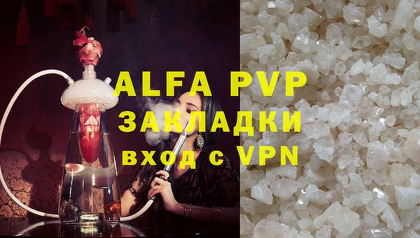 гидра Майский