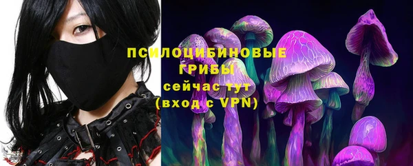 гидра Майский