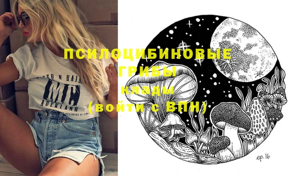 гидра Майский