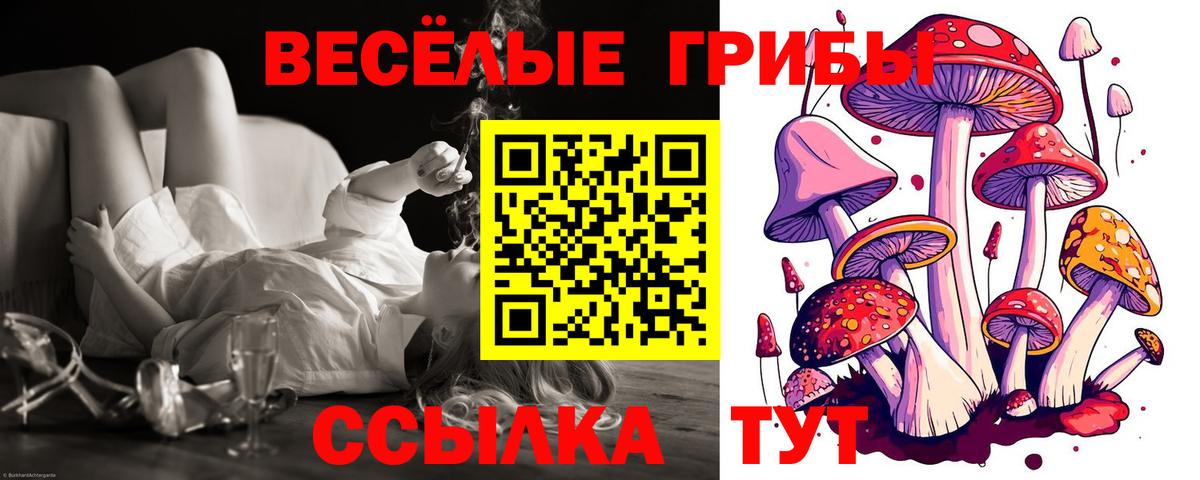Псилоцибиновые грибы Cubensis Новочебоксарск